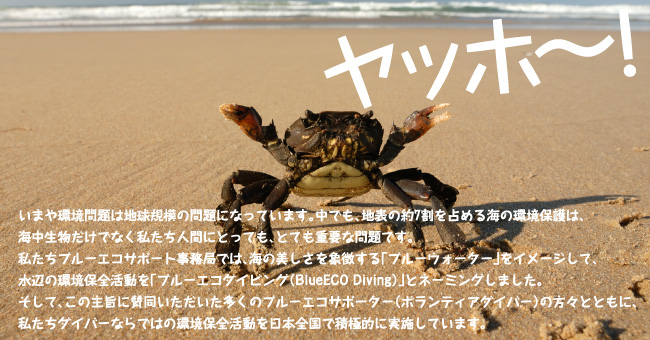 いまや環境問題は地球規模の問題になっています。中でも、地表の約7割を占める海の環境保護は、海中生物だけでなく私たち人間にとっても、とても重要な問題です。私たちブルーエコサポート事務局では、海の美しさを象徴する「ブルーウォーター」をイメージして、水辺の環境保全活動を「ブルーエコダイビング(BlueECO Diving)」とネーミングしました。そして、この主旨に賛同いただいた多くのブルーエコサポーター(ボランティアダイバー)の方々とともに、私たちダイバーならではの環境保全活動を日本全国で積極的に実施しています。